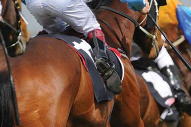 Horse Racing Betting Tips