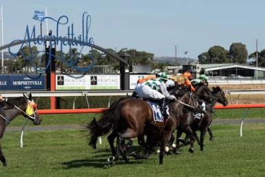 Morphettville Racing Tips