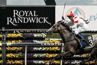 Randwick Racing Tips