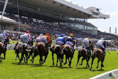Rosehill Racing Tips