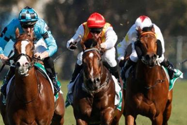 Rosehill Racing Tips