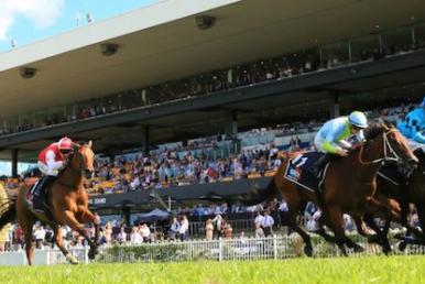 Rosehill Racing Tips
