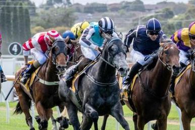 Warrnambool Racing Tips