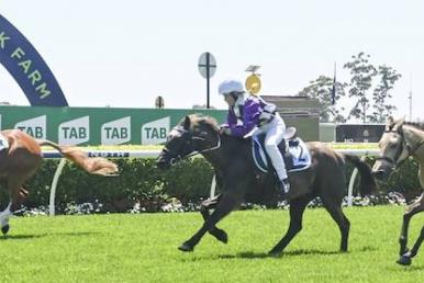 Warwick Farm Racing Tips