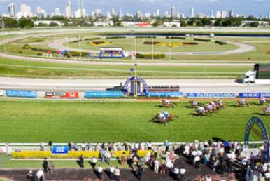 Gold Coast Racing Tips