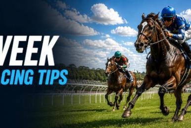Horse Racing Tips