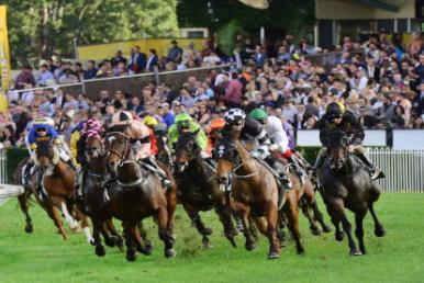 Ipswich Racing Tips
