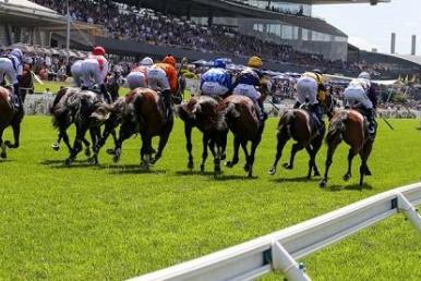 Rosehill Racing Tips