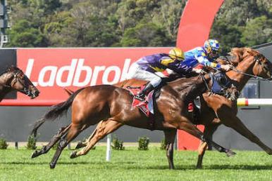 Sandown Racing Tips