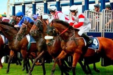 Today&#039;s Racing Tips: Wednesday August 17th
