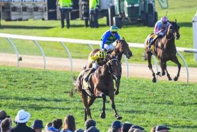 Warrnambool Racing Tips