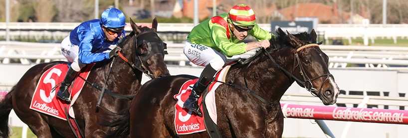 Good Bet Stakes Good Bet Stakes