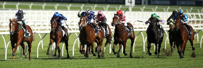 Horse Racing Tips Saturday September 4th Before You Bet