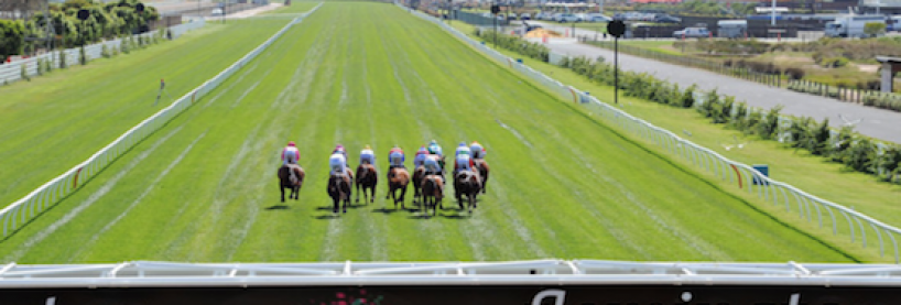2016 Australian Cup Preview & Betting Tips