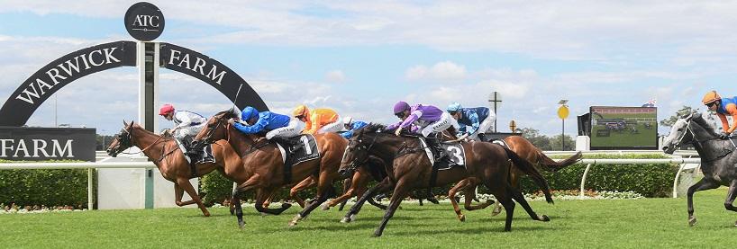 Horse Racing Betting Tips