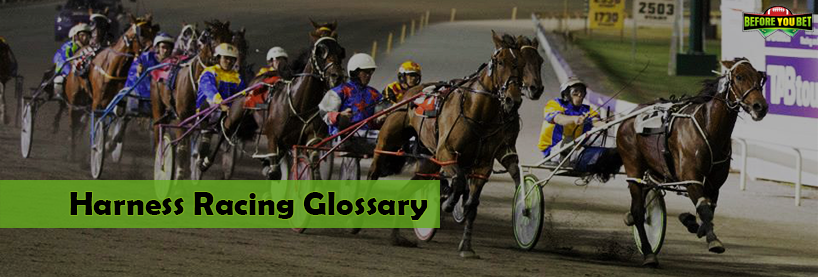 harness racing glossary