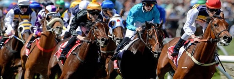 Horse Racing Ante Post Betting