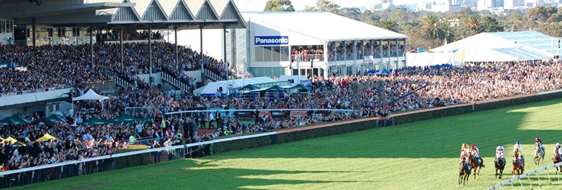 morphettville racecourse