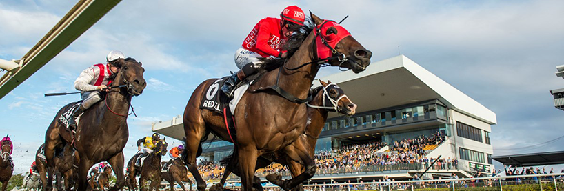 redzel doomben 10,000