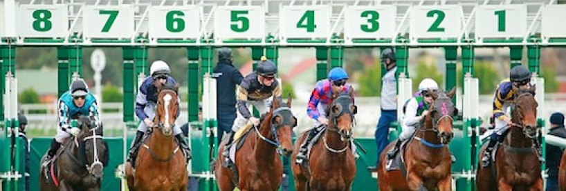 Horse Racing Betting Websites Horse Racing Betting Websites