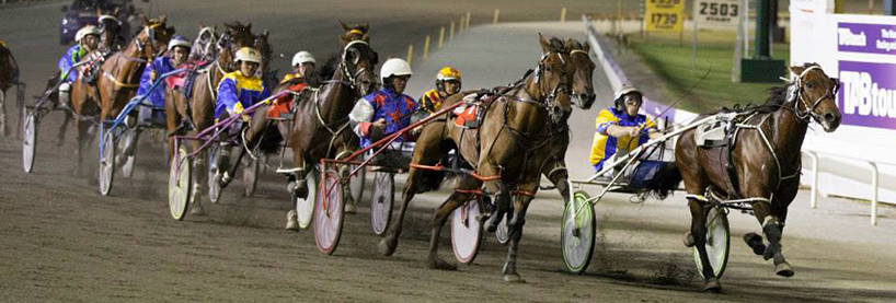 Harness Racing Tips: Gloucester Park - Tuesday, August 13th