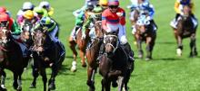 2022 Melbourne Cup Preview & Tips