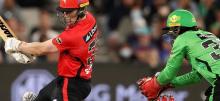 BBL11 Renegades vs Thunder Betting Tips