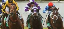 Horse Racing Tips