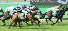 Horse Racing Betting Tips