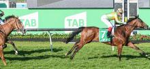 Australian Horse Racing Tips Sunday October 11th