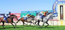 Australian Horse Racing Tips Monday October 12th