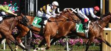 Flemington Racing Tips 2020 Turnbull Stakes Day