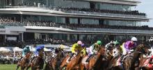 Melbourne Cup Racing Tips