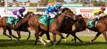Australian Horse Racing Tips Friday July 31st