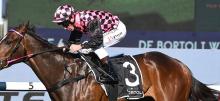 Rosehill Racing Tips 2020 Golden Rose Day