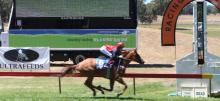 Hanging Rock Racing Tips