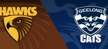 Hawks vs Cats Betting Tips