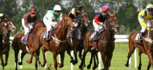 Wednesday Racing Tips