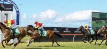 Kembla Grange Racing Tips