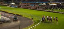 Moonee Valley Betting Tips