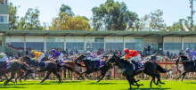 Pinjarra Racing Tips