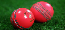 Pink Ball Set to Create Test Cricket History 