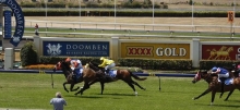 Horse Racing Tips