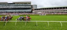 Randwick Racing Tips