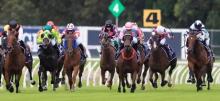 Rosehill Racing Tips