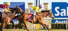 Australian Horse Racing Tips Thursday September 24th