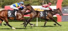 Sandown Racing Tips