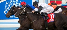 Australian Horse Racing Tips Tuesday September 8th
