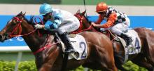 Sha Tin Racing Tips Sunday October 4th