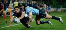Super Rugby Tips